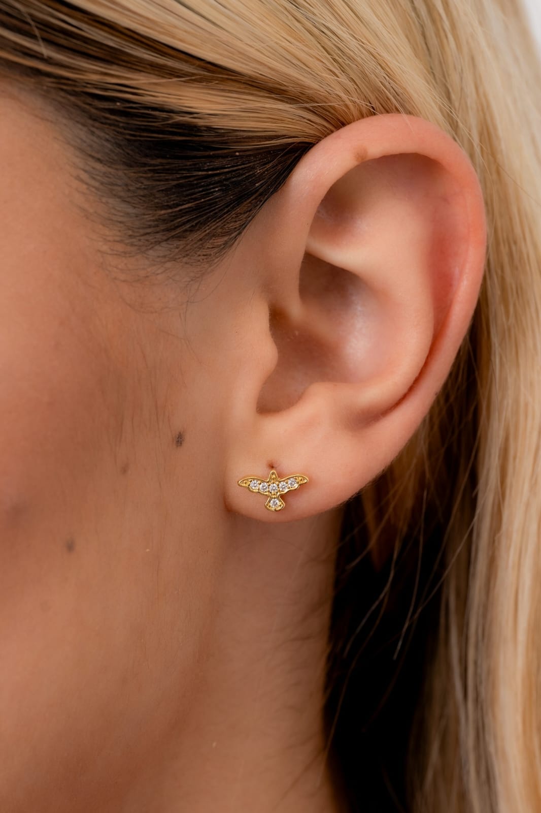 Areta dama Espíritu Santo