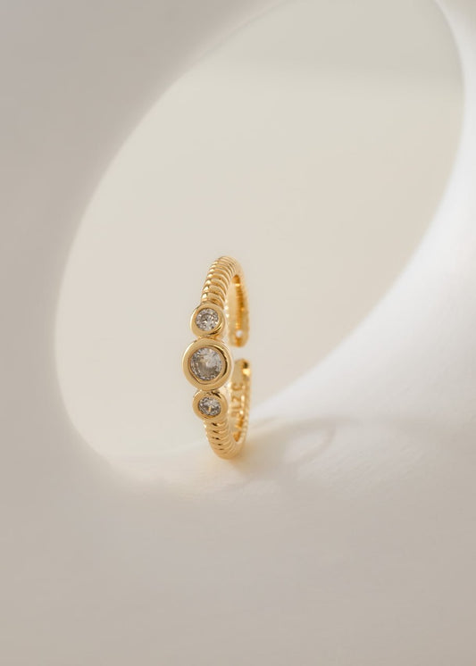 Anillo Royal Ajustabel