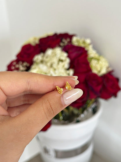 Areta dama Mariposa Monarca