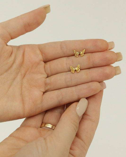 Areta dama Mariposa Monarca