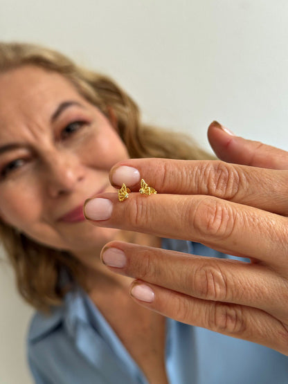 Areta dama Mariposa Monarca