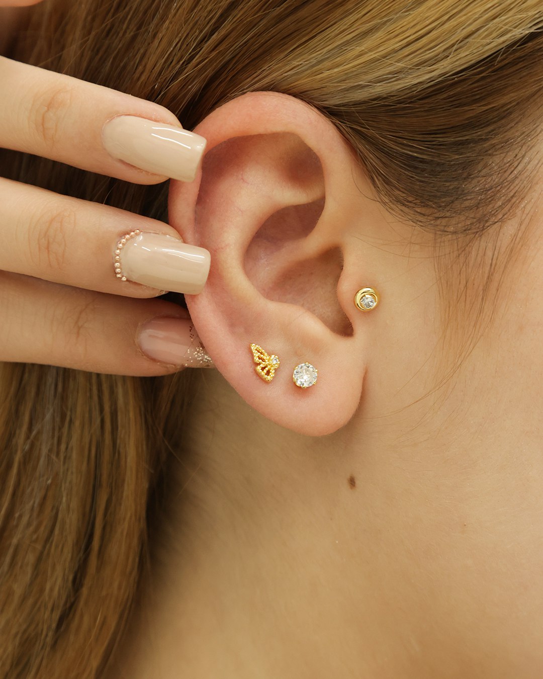 Areta dama Mariposa Monarca