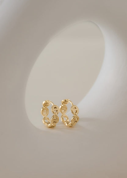 Candonga G Peuqueña