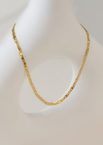 Combo Hombre Cadena Escalera + Topo Rolex