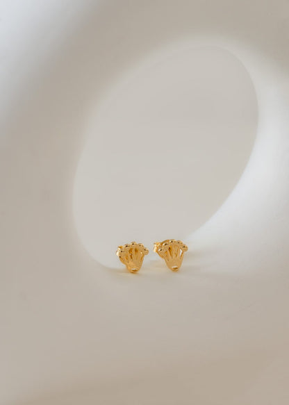 Combo Hombre Cadena Escalera + Topo Rolex